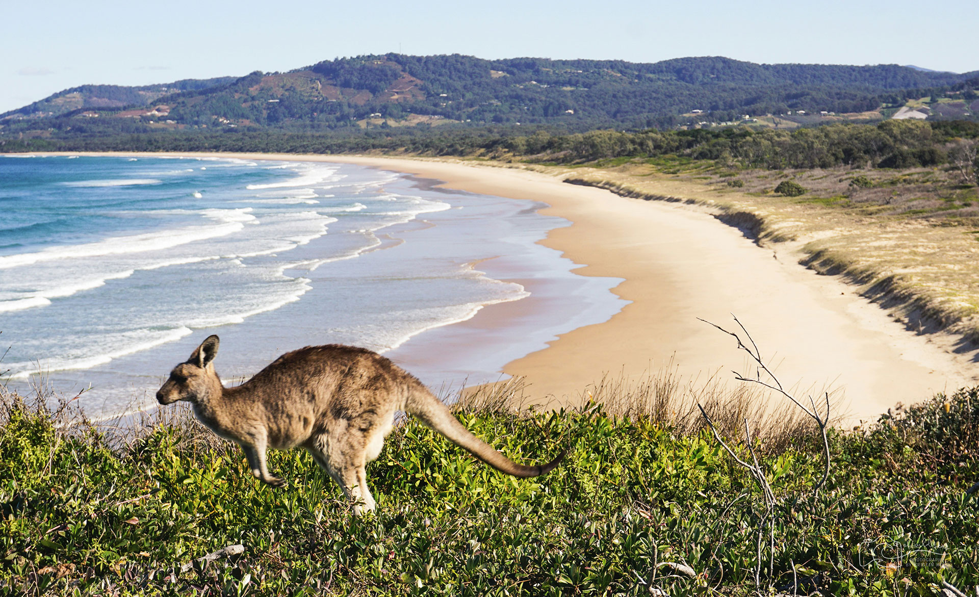 Headerbild_Australien